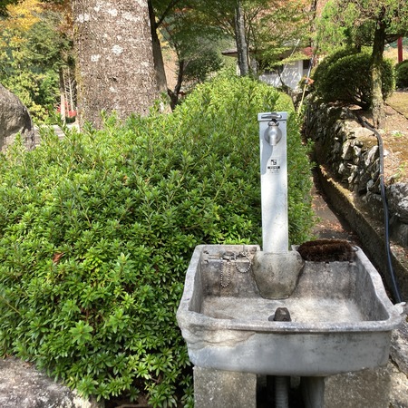 2021.11.12 大村市 黒木民宿キャンプ場IMG_6928
