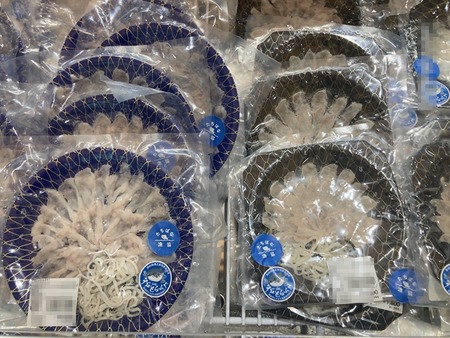 �ե�å���251_1757495733