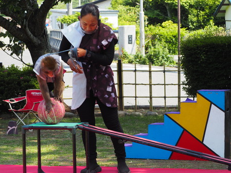 2022.06.03 大村公園 花菖蒲P6031333