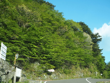 2021.04.24������Թ���Į�����㥯�ʥ�����P4246663