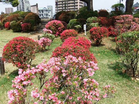 12 諫早つつじ祭りで宝探し 長崎 諫早市民 ふくちゃんの食う 寝る 遊ぶ日記
