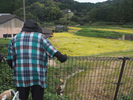 36-波佐見町 鬼木棚田まつり 鬼木加工センターPA060356