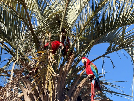 .Ĺ��Х����ѡ�����������IMG_0208