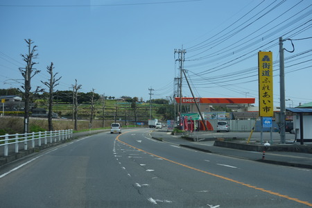 1-カフェこんぺいとうDSC01399
