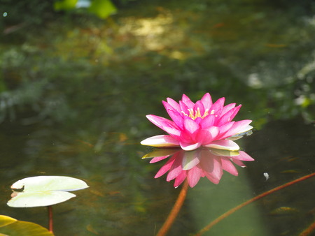 2024.08.14 橘神社P8150066