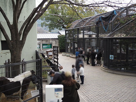 Ĺ�����_1771066892