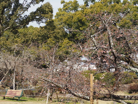 2023.02.26���������P1011428