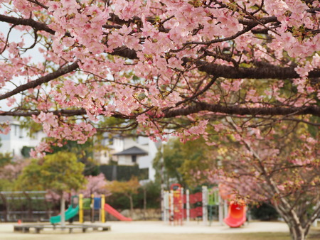 �׸�����β��ź�P2221509