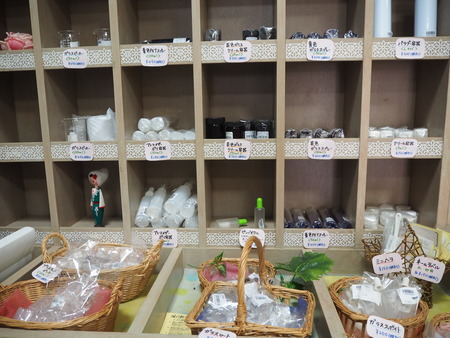 諫早市小長井町 山茶花高原P1161588