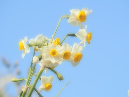 Ĺ�������ꡡ����ε֡���¦Ÿ˾��P1012109