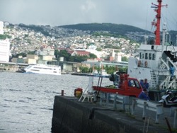 2-DSCF1871