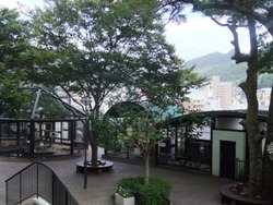 ���ݣ������棹������