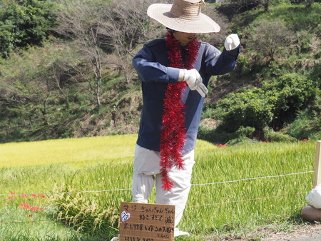 鬼木棚田まつり 好きすぎて滅P1010072