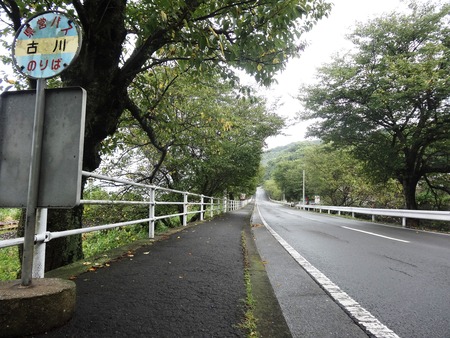 12-古川の桜並木DSC06198