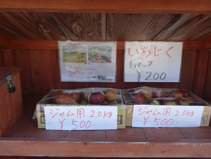 8-¿Îɳ٥쥤¥ó¥Ü¡¼¥í¡¼¥ÉDSC02380