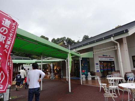 7-DSC04018