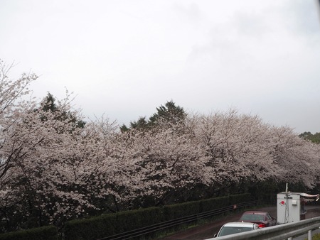 2-�����¿�ɸ�Į������Х���κ�����P3203949