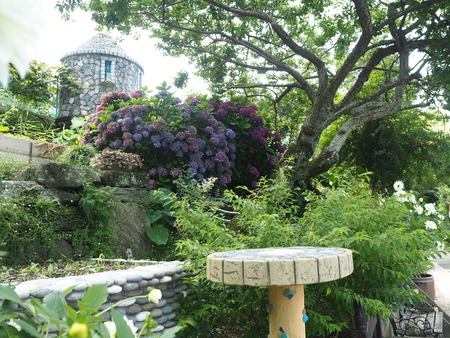 2021.06.21 Ĺ��Զ׳����ϥåԡ��ƥ饹P6205213