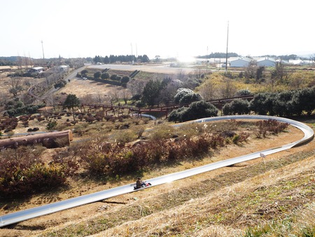 諫早市小長井町 山茶花高原P1161548