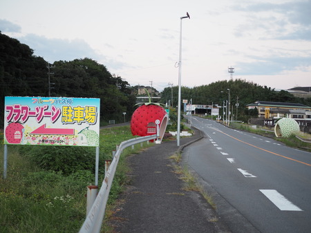 °æºê¥Õ¥ë¡¼¥Ä¥Ð¥¹Ä䥳¥¹¥â¥¹P1012025