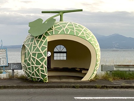 °æºê¥Õ¥ë¡¼¥Ä¥Ð¥¹ÄäIMG_0837