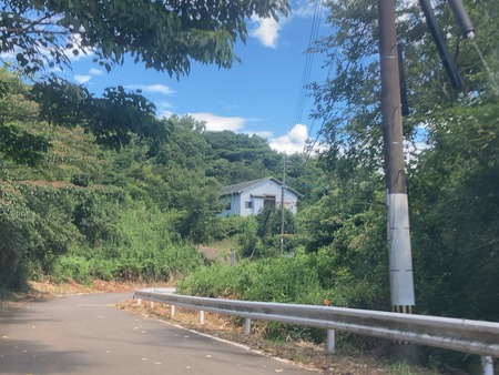 2025.08.14������ԡ����ӥ֥롼�٥꡼��IMG_8769