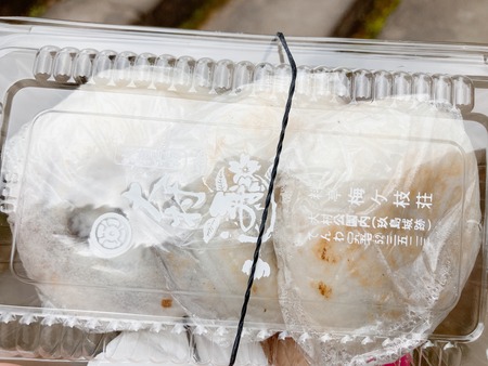 2023.03.05 大村市 梅ヶ枝荘IMG_3503