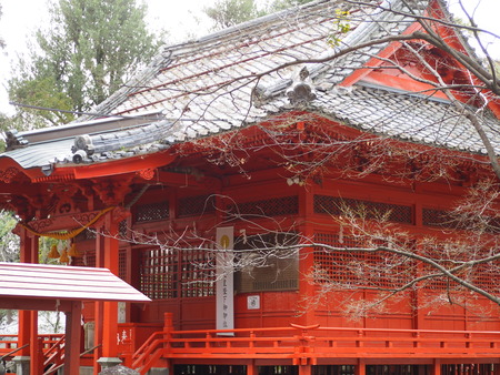 2023.03.04����¼�ԡ������ٿ���P1011914