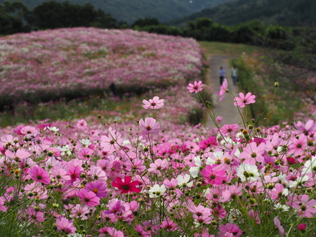 2023.10.13�����ᡡ�������⸶PA131362