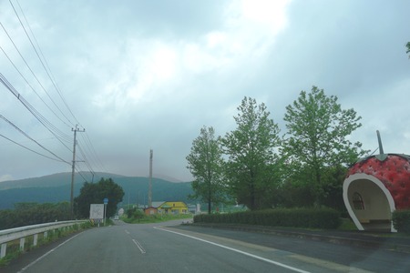 1-����ֹ⸶DSC07623