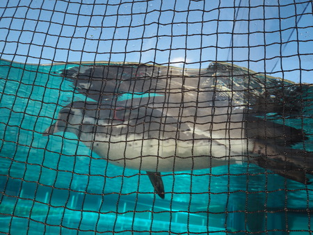 2021.11.14 �����ݻԡ��彽����ư��ʪ�ࡡ�������PB136594