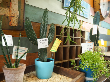 17-諫早市小野島町 干拓の里 じげもん市 松井商店P9078197