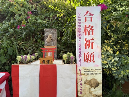 Ĺ��Х����ѡ�������ʵ���IMG_0092