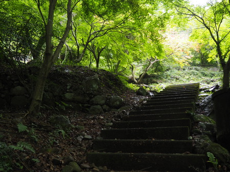 2022.07.26 諫早市 富川渓谷バンガローP7172704