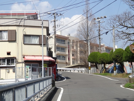 3-林下商店DSC03023