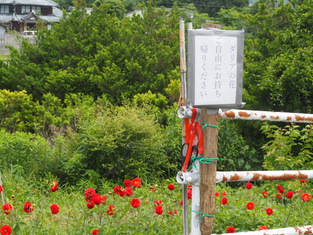 2023.06.10������Կ���Į���ä��������ࡡ���Ĥ�����P1019890