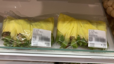 �ե�å���251_1757495523