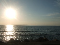 sa-3DSCF4275
