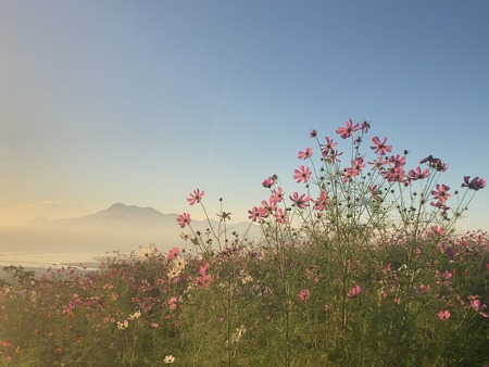 IMG_8679 2 - コピー