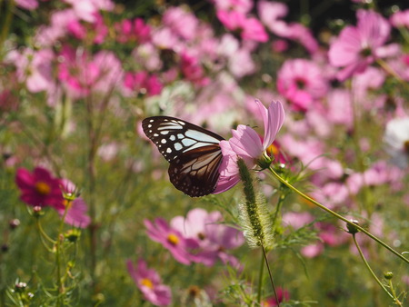 2023.10.13�����ᡡ�������⸶PA131416