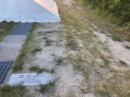 2024.09.06�������դ줢������IIMG_7650