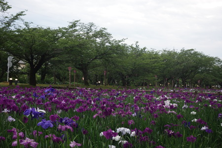 ������¼����DSC08280