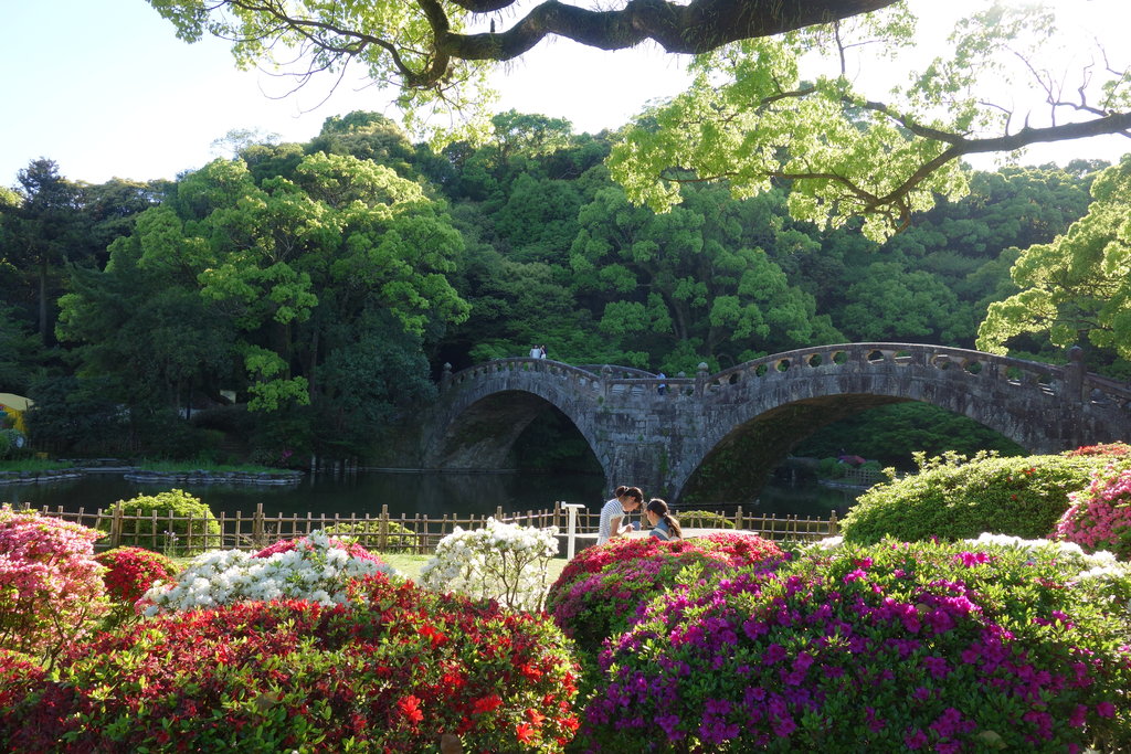 諌早さんぽ 春の祭典 諌早つつじまつり 長崎 諫早市民 ふくちゃんの食う 寝る 遊ぶ日記