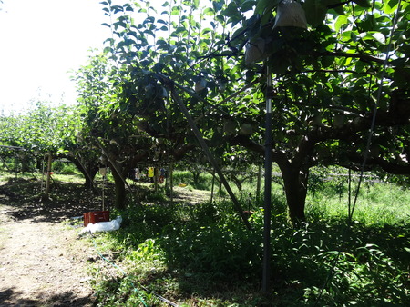 8-DSC06535