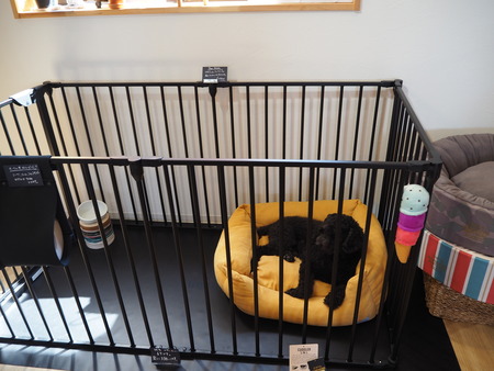 2021.09.25¡¡±ÀÀç»Ô¹ñ¸«Ä®¡¡rain P9160995