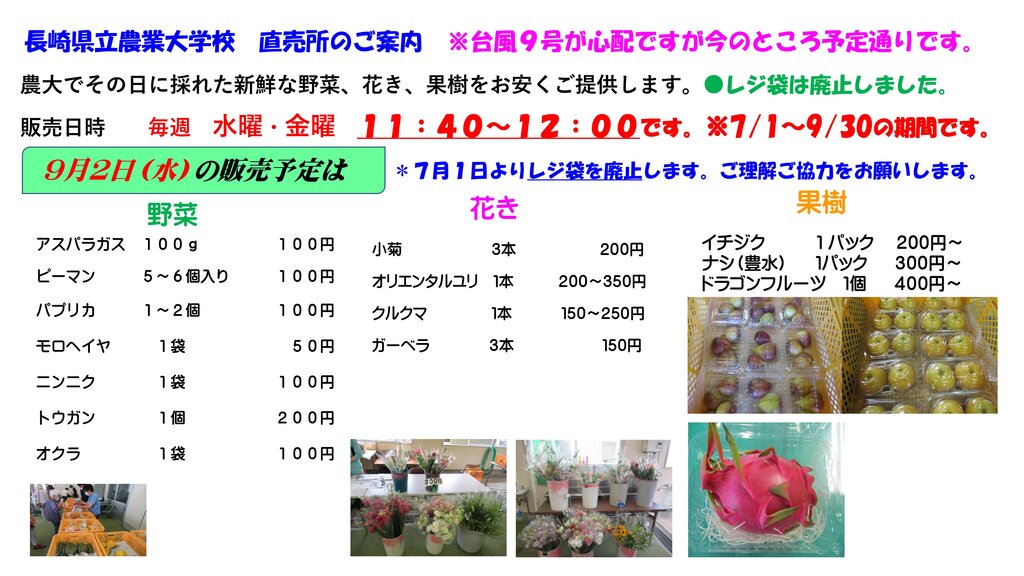農大そだちの安くて新鮮な野菜が買える 長崎県立農業大学校 農産物直売所 諫早市小船越町 長崎 諫早市民 ふくちゃんの食う 寝る 遊ぶ日記 農大そだちの安くて新鮮な野菜が買える 長崎県立農業大学校 農産物直売所 諫早市小船越町 長崎 諫早市民 ふくちゃんの食う 寝る 遊ぶ日記