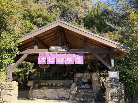 Ĺ��Х����ѡ��������ԥХ��Ϫŷ��ϤIMG_0372