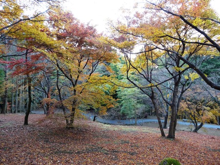 20-DSC05488