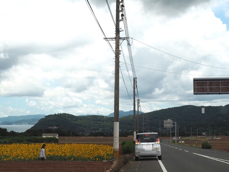 2022.08.06 南島原市加津佐町 孝子の里ひまわり畑P8054293