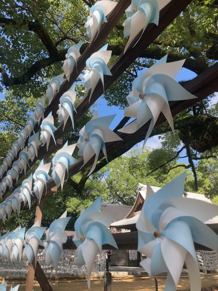 �������IMG_5453